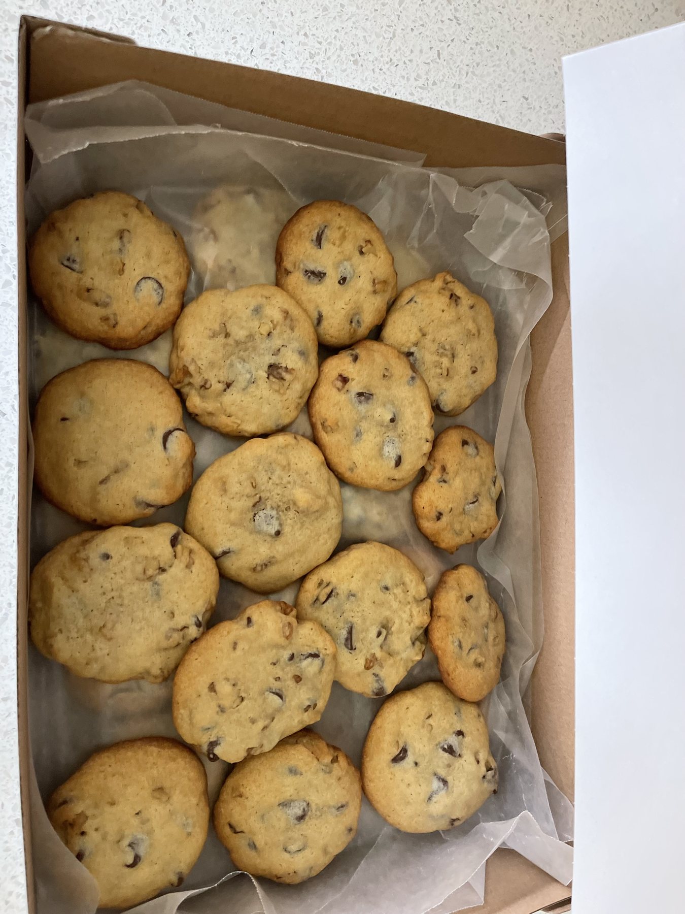 Chocolate chip cookies